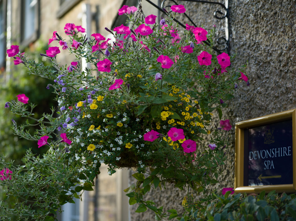 * Colourful floral details at the Devonshire Arms Hotel & Spa