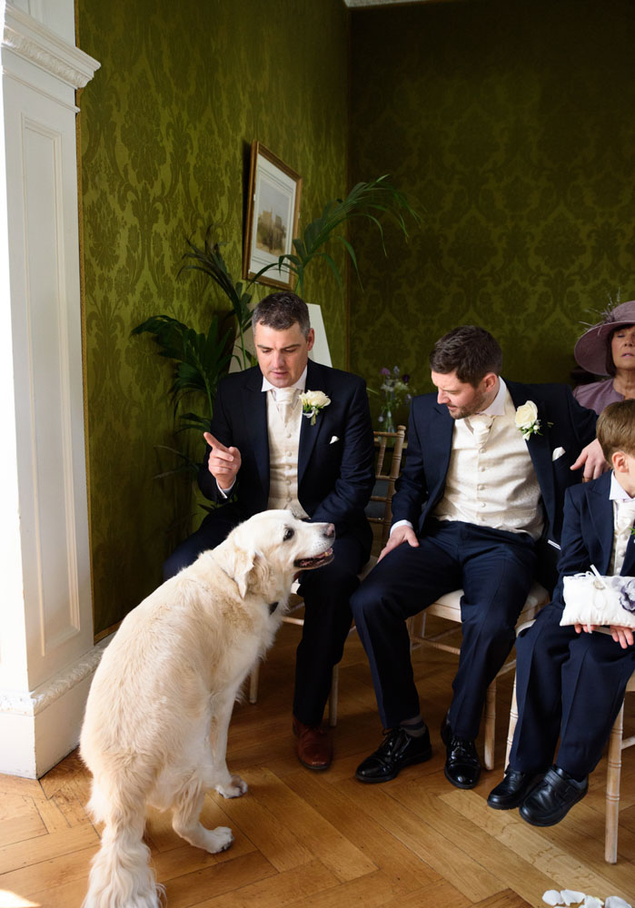 Groom, best man, and golden retriever being guided to their seats.
