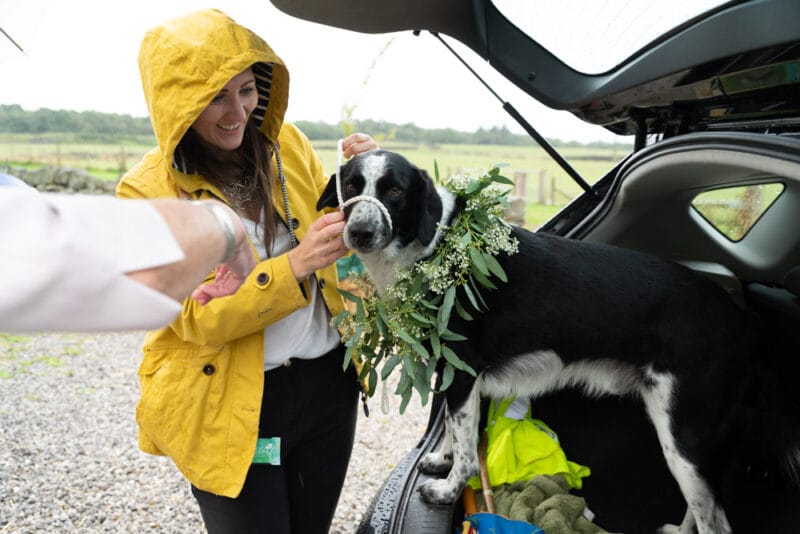 The couple’s rescue dog with a green floral collar at Chilli Barn wedding Otley Leeds Yorkshire.