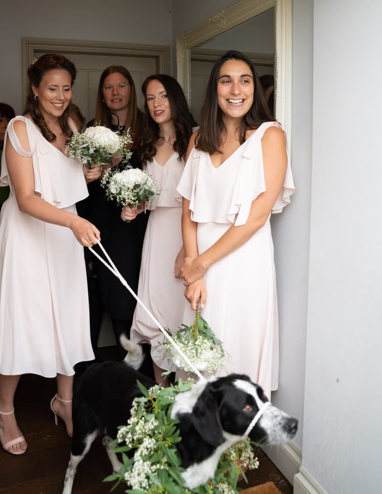 Rescue dog waits in the Chilli Barn doorway as bridesmaids smile inside.