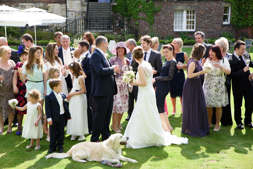 Group photo on the lawn with guests chatting and the golden retriever lying in front.