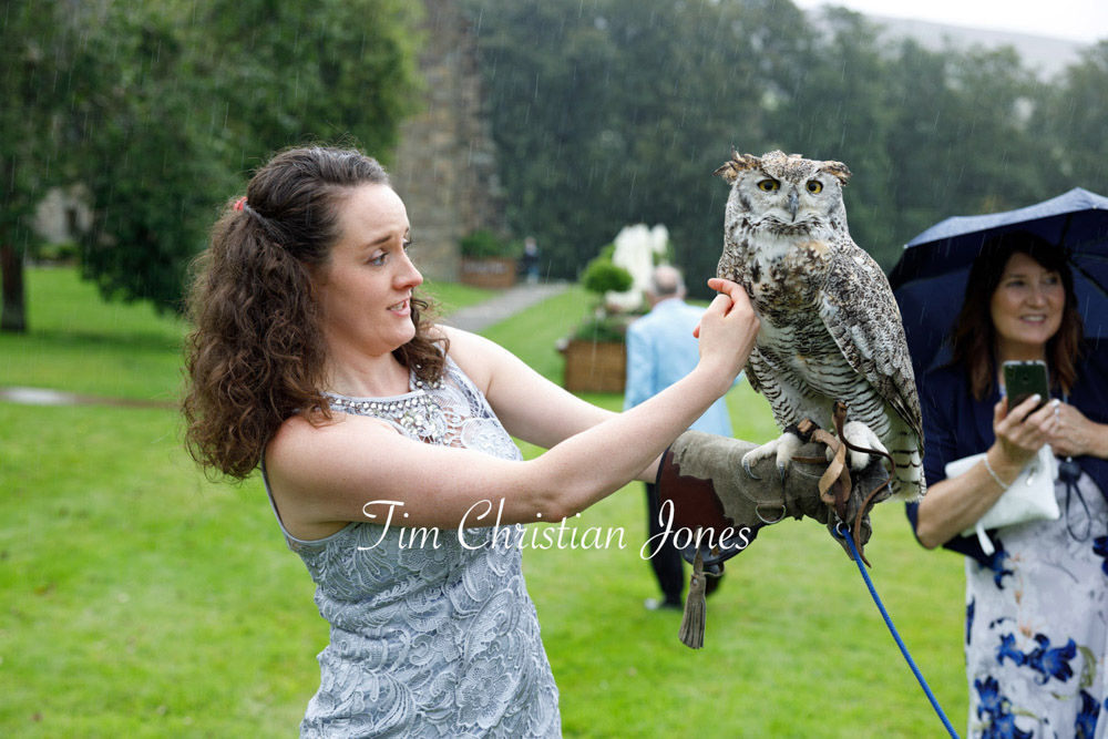 Wedding guest a little nervous while gently stroking an owl
