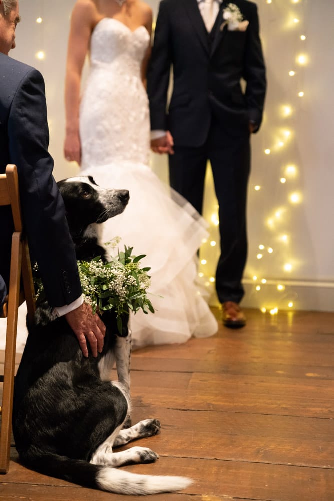 Couple’s rescue dog sits attentively, almost mirroring the ceremony mood at the Chilli Barn, Otley.