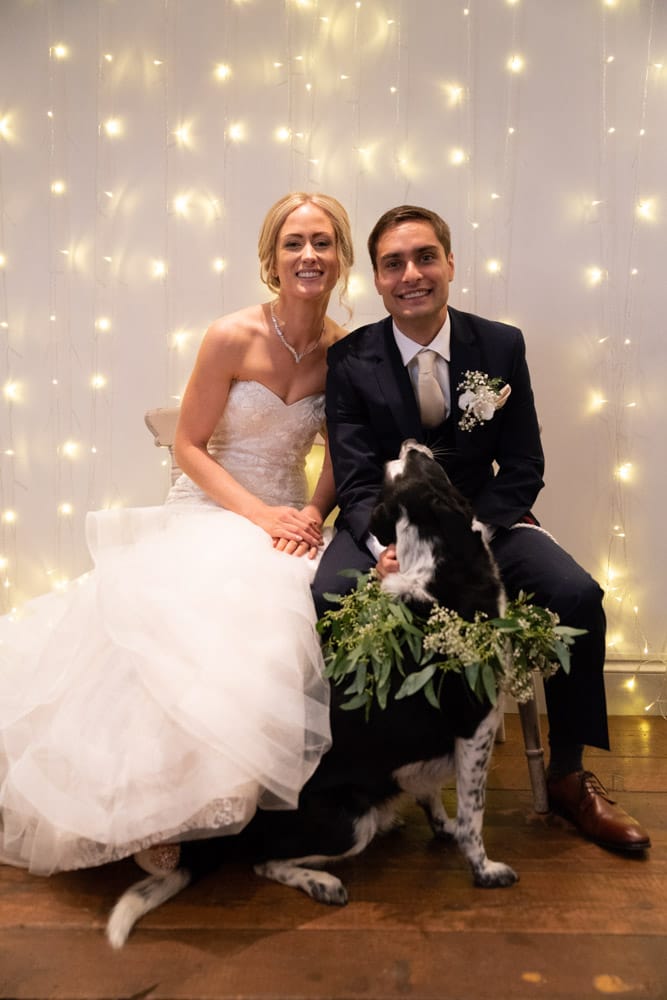 Bride and groom pose seated with their rescue dog looking up at them lovingly.