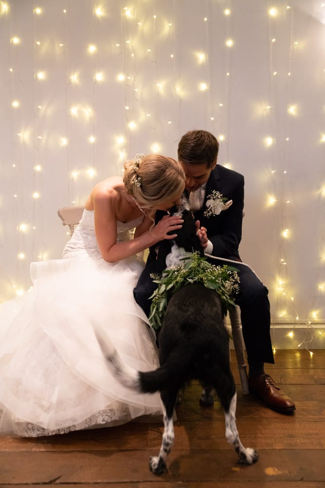 Couple seated, giving gentle attention to their rescue dog during portraits.