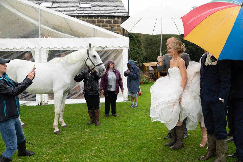140 chilli barn otley couple umbrellas horse helen adam