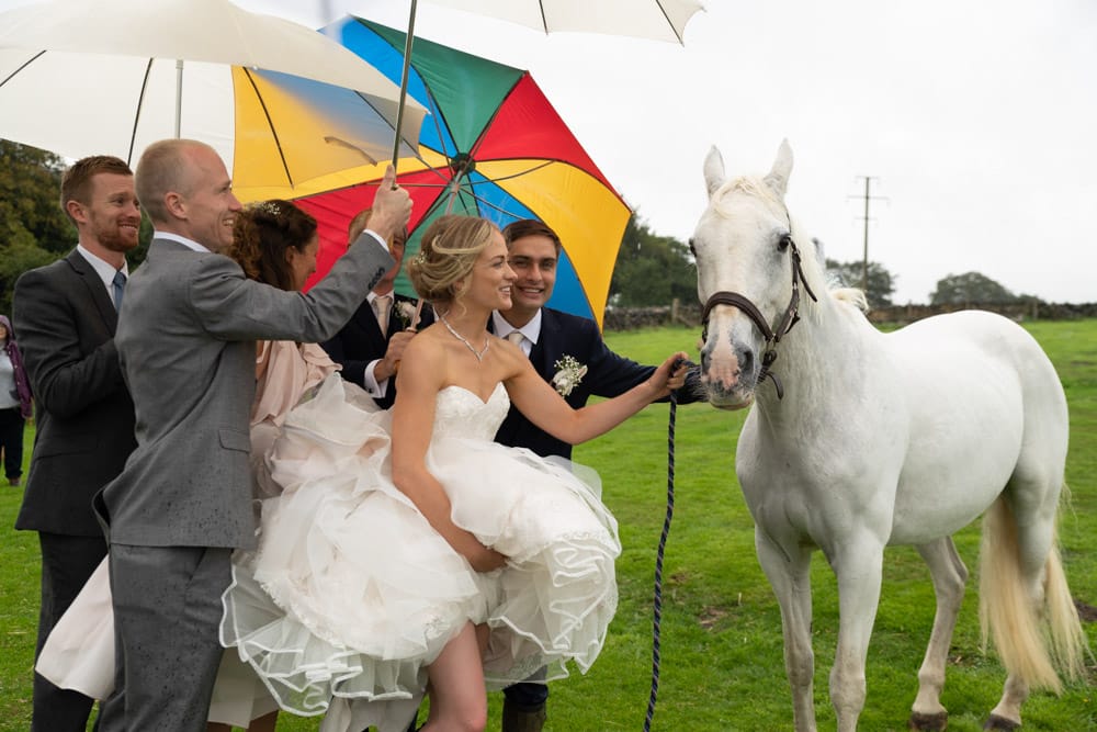 142 chilli barn otley couple umbrellas horse helen adam