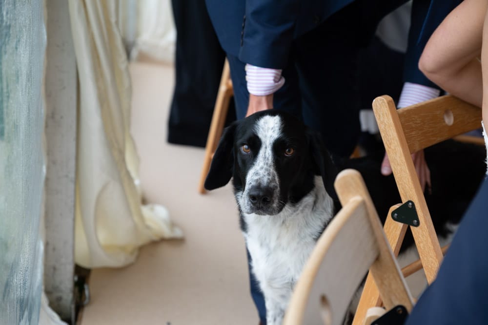 199 chilli barn otley wedding breakfast photos helen adam