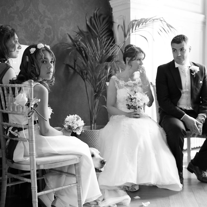 Bridesmaid looks back and their dog peeps out - black and white wedding  photography